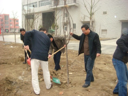武進項目公司開展植樹活動